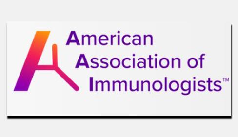 گواهی ارائه مقاله 